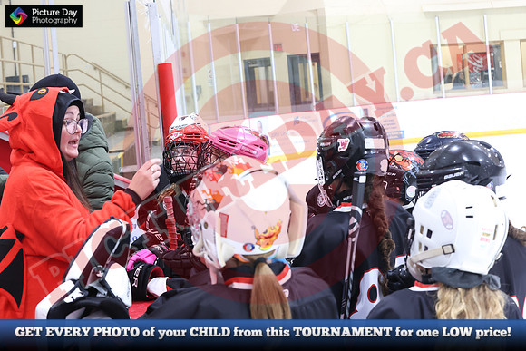 20241215-5243152024 St Marys Sinpers Ringette Tournament