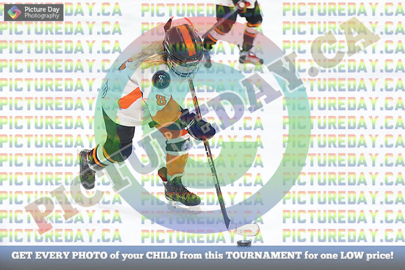 20250202-91402