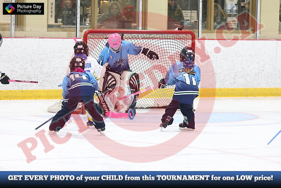 20241215-4187152024 St Marys Sinpers Ringette Tournament