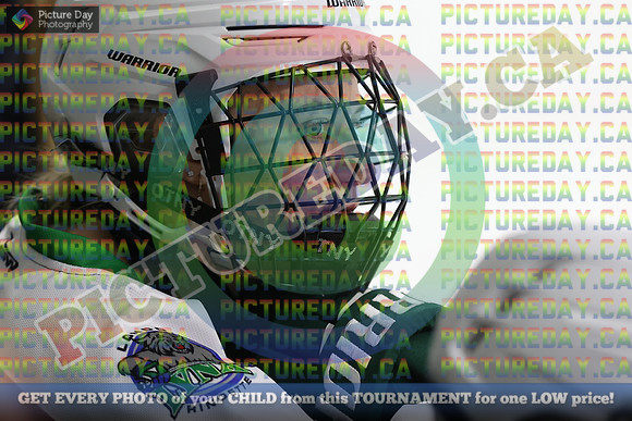 20250331-3776