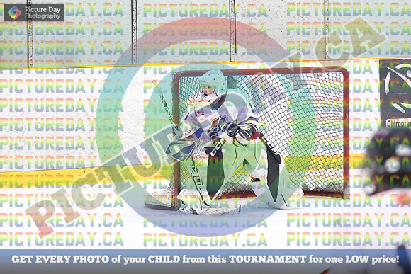 20250201-81831