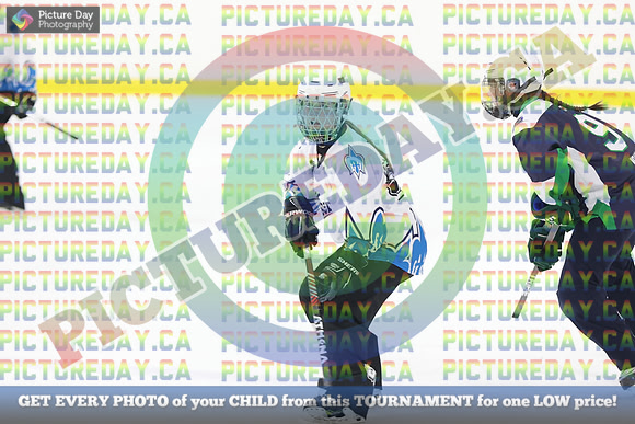 20250331-3791