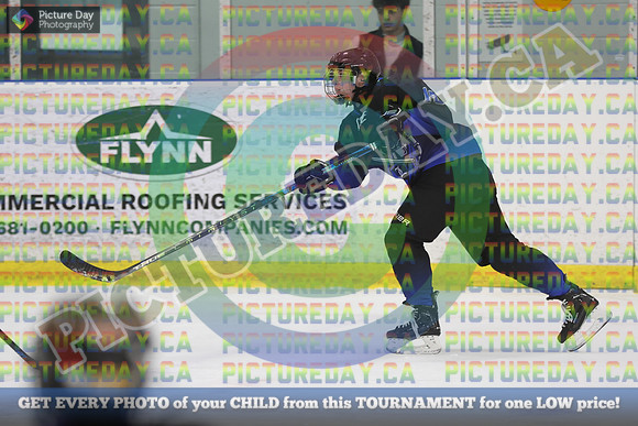 20250131-3301