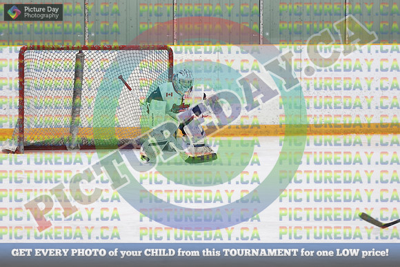 20250131-019031