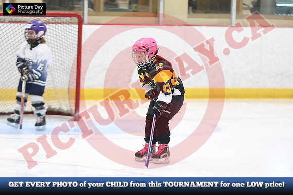 20241214-0751142024 St Marys Sinpers Ringette Tournament