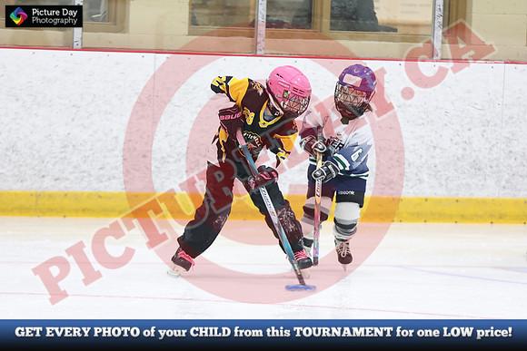 20241214-0789142024 St Marys Sinpers Ringette Tournament