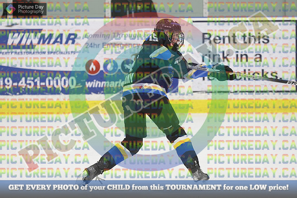 20250201-16233