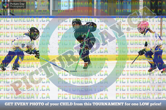 20250103-66113