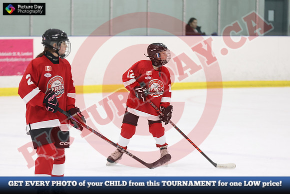 20241115-3416