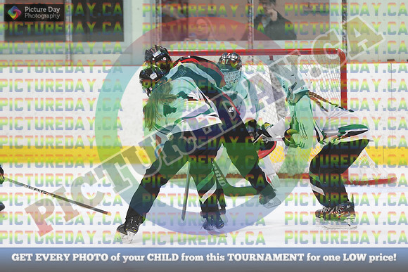 20250208-5519