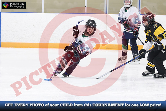 20241215-5553152024 St Marys Sinpers Ringette Tournament