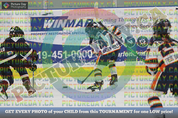 20250201-18310