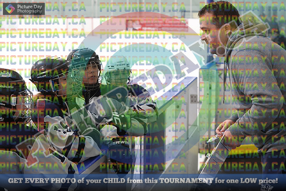 20250131-1113