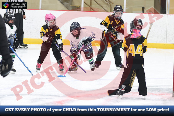 20241214-0832142024 St Marys Sinpers Ringette Tournament