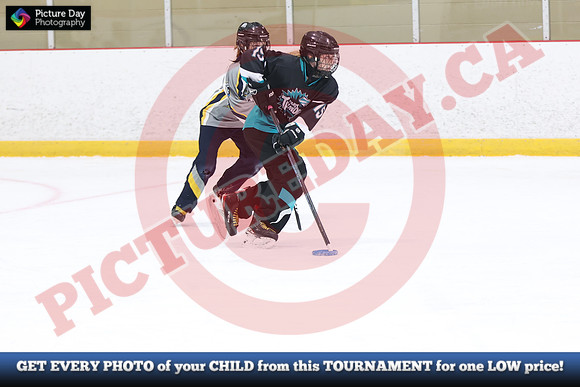 20241215-4820152024 St Marys Sinpers Ringette Tournament