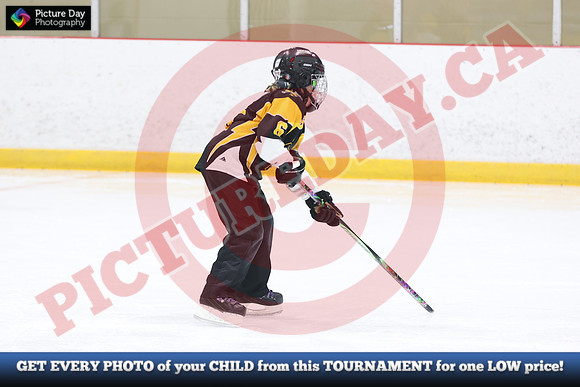 20241214-0827142024 St Marys Sinpers Ringette Tournament