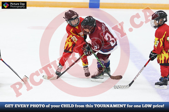 20241108-201782024 Belmont Rangers U7 Rumble