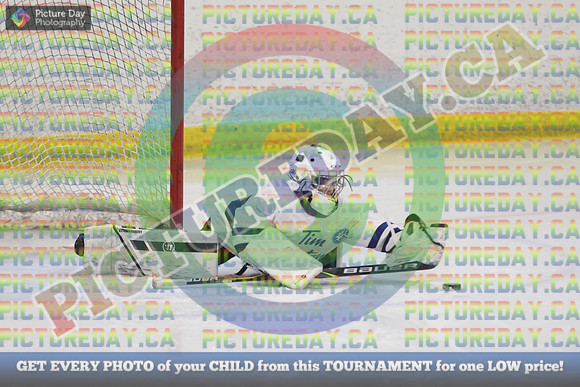 20250201-9848
