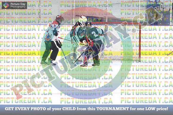 20250207-20527