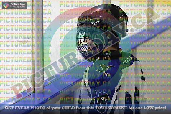 20250208-75628