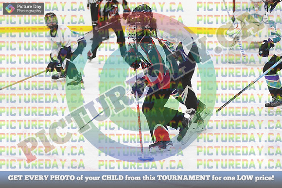 20250321-6069