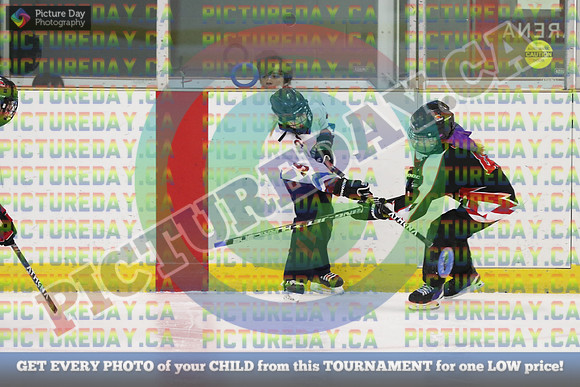 20250406-17551