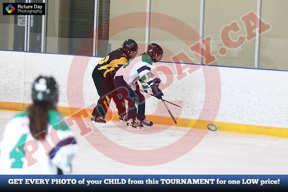 20241214-1602142024 St Marys Sinpers Ringette Tournament