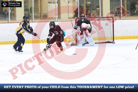 20241214-0453142024 St Marys Sinpers Ringette Tournament