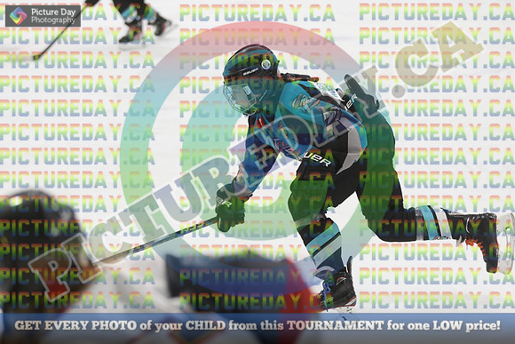 20250202-22795