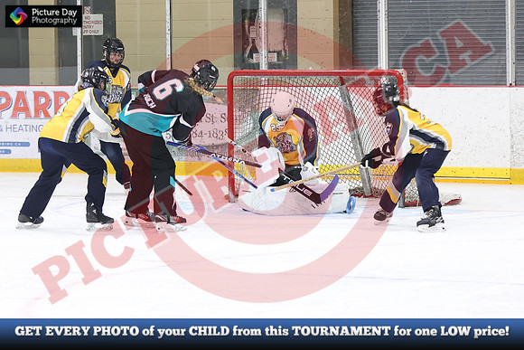 20241214-0399142024 St Marys Sinpers Ringette Tournament