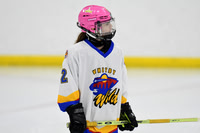 am 10.00 TCC-East [B T2] Etobicoke Stingers - Westwood vs Whitby Wild - Connor
