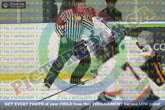 20251024-4187