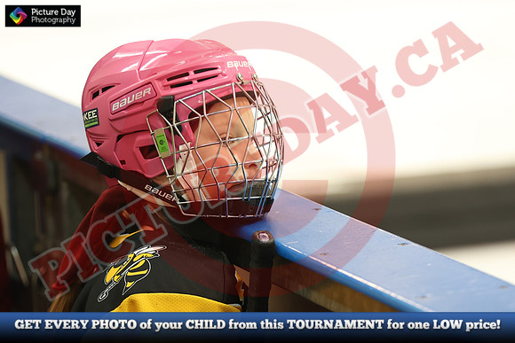 20241214-2341142024 St Marys Sinpers Ringette Tournament