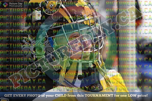 20251026-7678