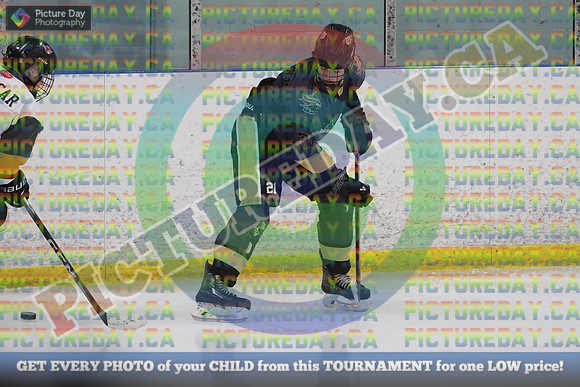 20251026-8436