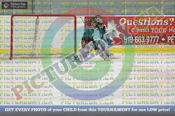 20250131-8270