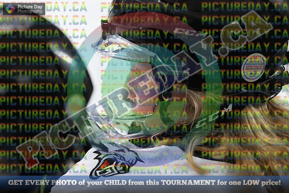 20251114-6950