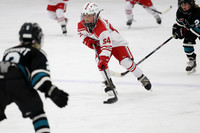 pm 05.30 Collins [U10 AA Doughty] Orchard Lake Red vs Humber Valley Sharks