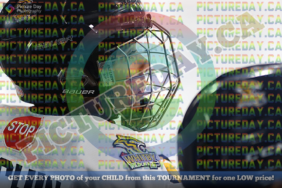 20251115-19213