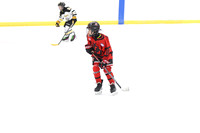 20251115-20424