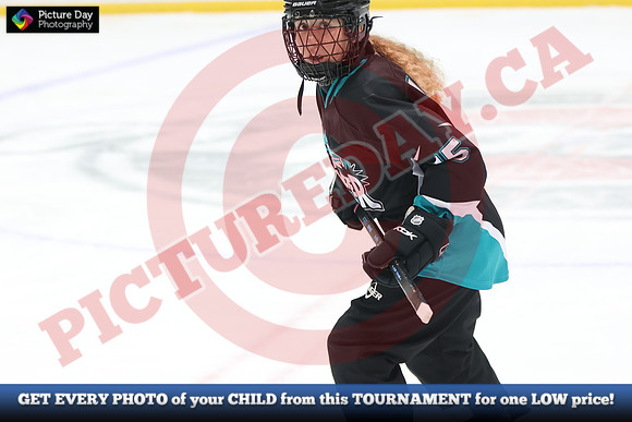 20241214-0410142024 St Marys Sinpers Ringette Tournament