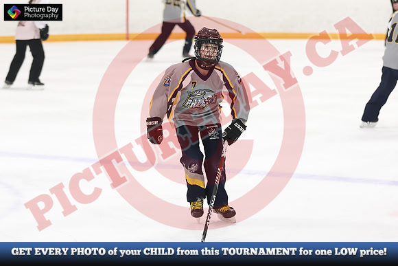 20241214-3024142024 St Marys Sinpers Ringette Tournament