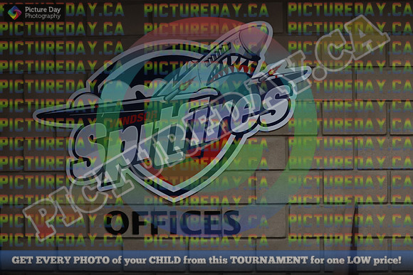 20251128-5374