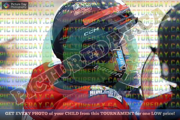 20251129-8469