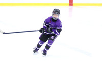 pm 03.40 WFCU-Grenon [U10-A] Milton Winterhawks vs London Mustangs Purple
