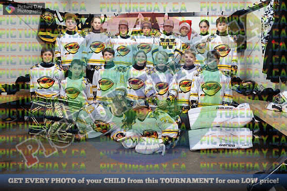 20251129-11334