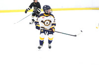 20251129-11895