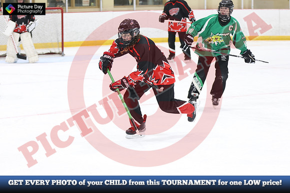 20241214-2841142024 St Marys Sinpers Ringette Tournament