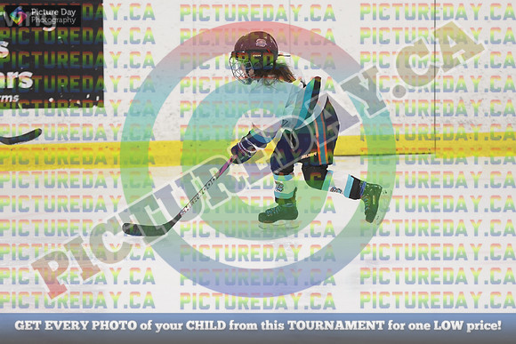 20250201-10027
