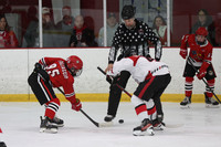 am 11.20 RINK-4 [U14] Port Huron Eagles vs Cincinnati Cyclones
